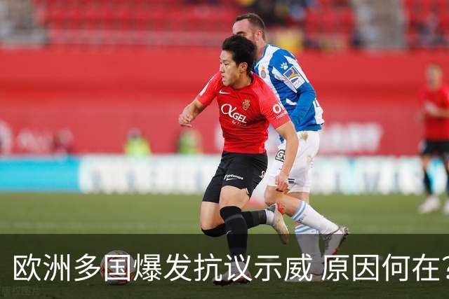 欧洲多国爆发抗议示威 原因何在？影响几何？